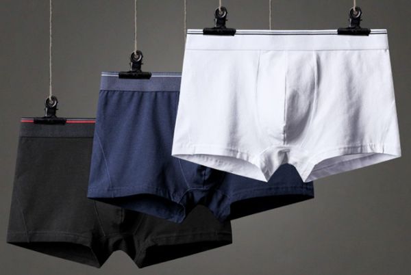 3xl plus size male mid-rise cotton boyshort men's panties underwear men boxer shorts 6pcs/lot rh2425, Black;white
3xl plus size male mid-rise cotton boyshort men's panties underwear men boxer shorts 6pcs/lot rh2425, Black;white