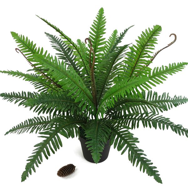 simulation big persian grass leaves artificial green plants fake lifelike plastic fern floral arrangement home garden decoration
simulation big persian grass leaves artificial green plants fake lifelike plastic fern floral arrangement home garden decoration