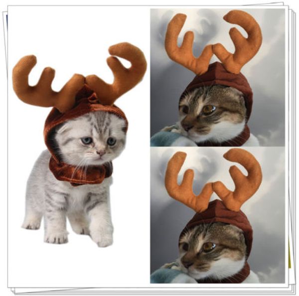 new cute pet cat dog cap parrty cosplay hat for puppy teddy animal shapeshift christmas reindeer costume
new cute pet cat dog cap parrty cosplay hat for puppy teddy animal shapeshift christmas reindeer costume