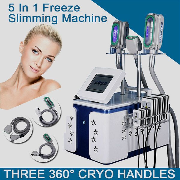 360° full vacuum cooling cryolipolysis machine professional cool technology body slimming cryolipolysis equipment with double chin handle
360° full vacuum cooling cryolipolysis machine professional cool technology body slimming cryolipolysis equipment with double chin handle