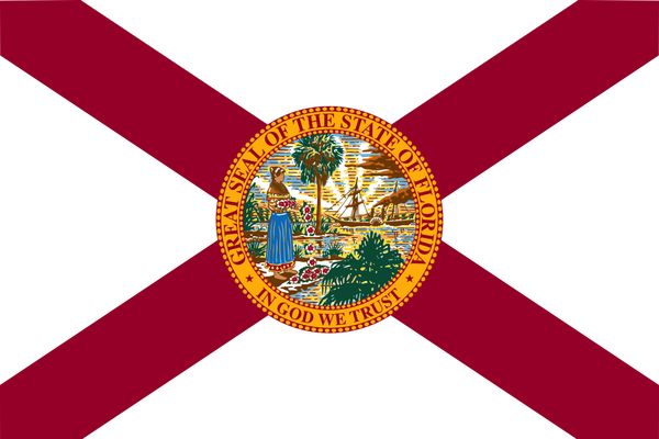 drop shipping american florida copy state flag 3x5ft usa polyester flag banner white sleeve and two grommets
drop shipping american florida copy state flag 3x5ft usa polyester flag banner white sleeve and two grommets