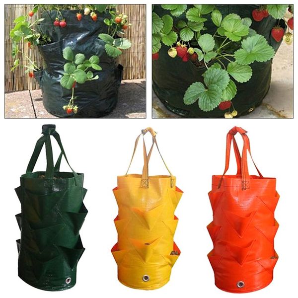 3 gallon strawberry handbag garden leaf air plant planting bag environmental protection breathable home gardening accessory
3 gallon strawberry handbag garden leaf air plant planting bag environmental protection breathable home gardening accessory