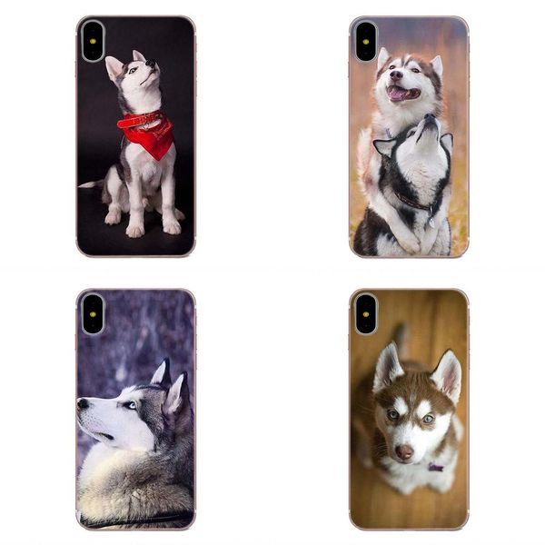 tarjetero iphone htc desire 530 626 628 630 816 820 830 one a9 m7 m8 m9 m10 e9 u11 u12 life plus tpu shell covers fashion wacky husky dog
tarjetero iphone htc desire 530 626 628 630 816 820 830 one a9 m7 m8 m9 m10 e9 u11 u12 life plus tpu shell covers fashion wacky husky dog