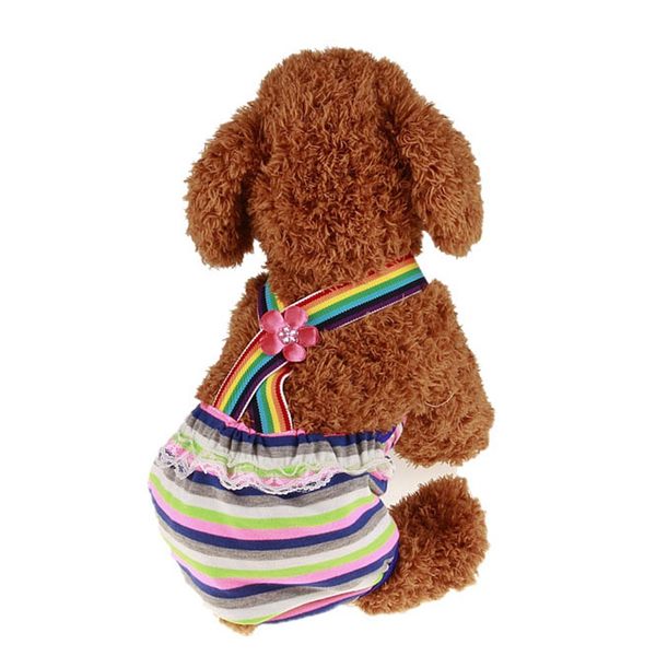 2019 new pet large dog пеленки санитарные физиологические брюки моющийся суки шорты трусы менструация нижнее белье трусы
2019 new pet large dog пеленки санитарные физиологические брюки моющийся суки шорты трусы менструация нижнее белье трусы