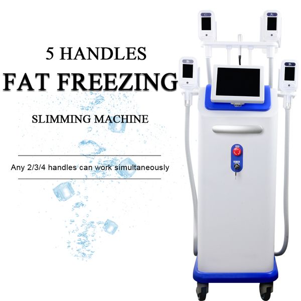 cryotherapy professional cellulite vacuum machine fat reduction weight loss 5 cyro handle fat removal weight loss machine by ce
cryotherapy professional cellulite vacuum machine fat reduction weight loss 5 cyro handle fat removal weight loss machine by ce