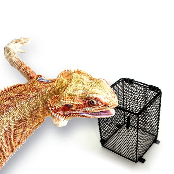 reptile heater guard anti-scald heating lamp lampshade enclosure cage protector metal mesh lamp cover for snake lizard turtle
reptile heater guard anti-scald heating lamp lampshade enclosure cage protector metal mesh lamp cover for snake lizard turtle