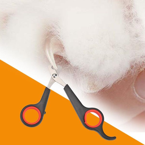 мода стиль многоцветный pet собака кошки птица toe коготь из нержавеющей стали груминг кусачки для ногтей ножницы собака ногтей триммер выре
мода стиль многоцветный pet собака кошки птица toe коготь из нержавеющей стали груминг кусачки для ногтей ножницы собака ногтей триммер выре