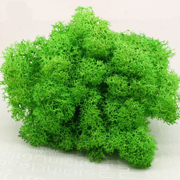 artificial everlasting moss plant eternal moss grass garden home decor diy flower material garden micro landscape accessories
artificial everlasting moss plant eternal moss grass garden home decor diy flower material garden micro landscape accessories