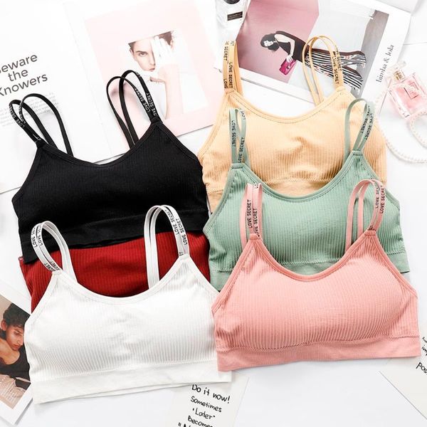 wireless lace bra full cup wrap chest women bra solid vest lace seamless breathable push up underwear ly, Black;white
wireless lace bra full cup wrap chest women bra solid vest lace seamless breathable push up underwear ly, Black;white