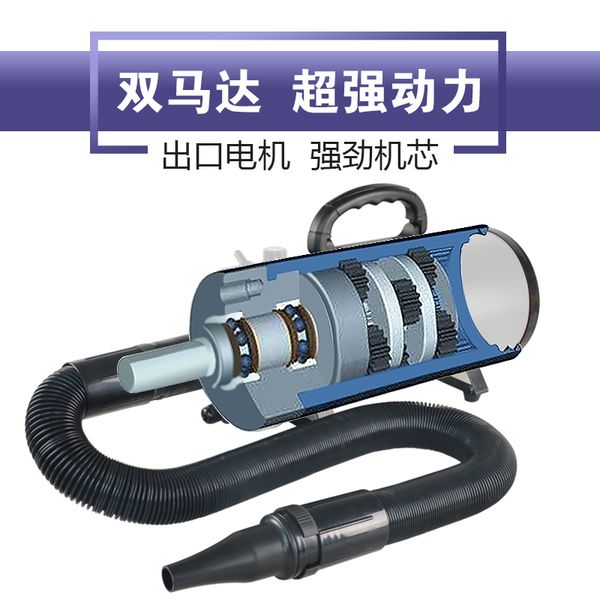 double motor pet water blowing machine dog hair dryer high power mute large special artifact asciugatrice 220v
double motor pet water blowing machine dog hair dryer high power mute large special artifact asciugatrice 220v