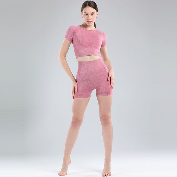 2020 summer sportswear shorts and crop shirt short sleeve 2 pieces set women seamless fitness gym running clothes tracksuit, White
2020 summer sportswear shorts and crop shirt short sleeve 2 pieces set women seamless fitness gym running clothes tracksuit, White