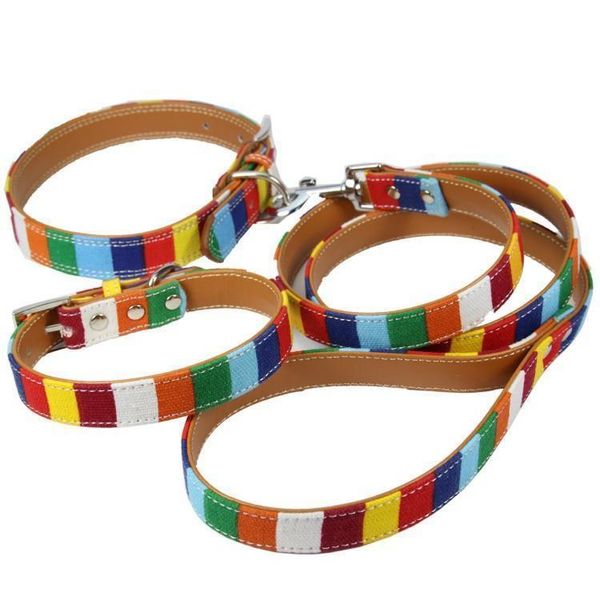 1 collar+1 leash) leather dog collar led set designer cavas pu leather colorful plain pet dog collar leash set
1 collar+1 leash) leather dog collar led set designer cavas pu leather colorful plain pet dog collar leash set