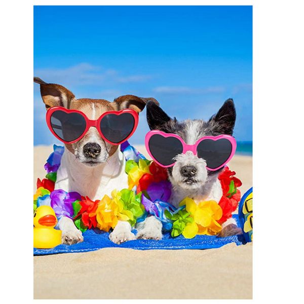 toddler polarized sunglasses for kid lunettes de soleil tout-petits metallic red bronze heart shaped sunglasses hairclippers2011 ylyzv
toddler polarized sunglasses for kid lunettes de soleil tout-petits metallic red bronze heart shaped sunglasses hairclippers2011 ylyzv