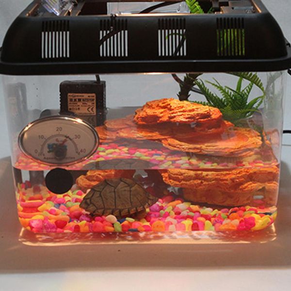 reptile terrarium breeding incubating box spider frog box lizard snake turtle tank cylinder cage fish tank for eggs incubation
reptile terrarium breeding incubating box spider frog box lizard snake turtle tank cylinder cage fish tank for eggs incubation