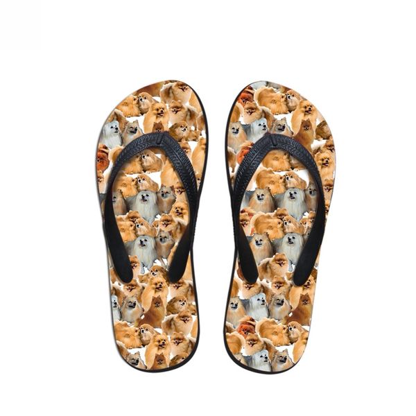 customized summer women flip flops cute pomeranians pattern slip-on home slippers woman flats fashion beach women's shoes 2019, Black
customized summer women flip flops cute pomeranians pattern slip-on home slippers woman flats fashion beach women's shoes 2019, Black