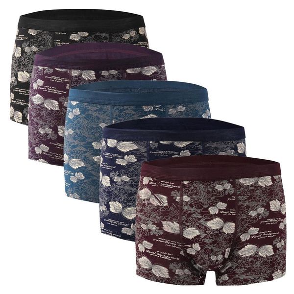 5pc boxer men's underwear letter printed cotton underwear soft breathable knickers youth plus size short cueca masculina 2#, Black;white
5pc boxer men's underwear letter printed cotton underwear soft breathable knickers youth plus size short cueca masculina 2#, Black;white