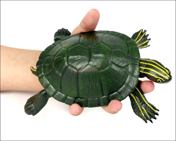 turtle brazilian tortoise simulation model toy amphibian marine animal turtle tortoise plastic child cognitive gift 2020
turtle brazilian tortoise simulation model toy amphibian marine animal turtle tortoise plastic child cognitive gift 2020