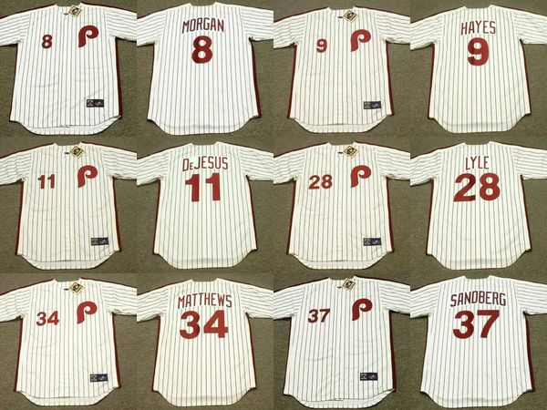 джерси бейсбол филадельфия 8 joe morgan 9 von хейз 11 иван dejesus 37 райн сандберг 34 гэри matthews 28 sparky lyle, Black
джерси бейсбол филадельфия 8 joe morgan 9 von хейз 11 иван dejesus 37 райн сандберг 34 гэри matthews 28 sparky lyle, Black