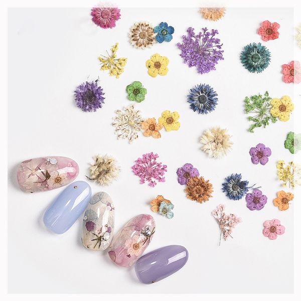 nail art dried flower decoration set natural nail true dry flower daisy/babysbreath/five petal series accessories, Silver;gold
nail art dried flower decoration set natural nail true dry flower daisy/babysbreath/five petal series accessories, Silver;gold