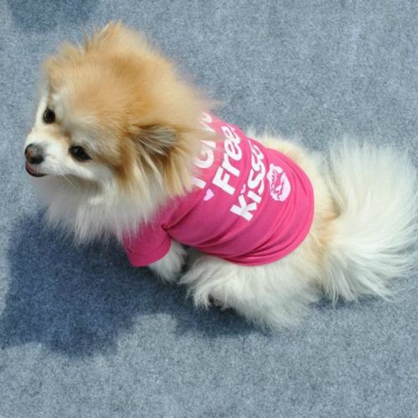 puoupuou cartoon letter dog pet clothes summer dog jacket coat clothing t-shirt for small medium dogs puppy outfit xs-2xl
puoupuou cartoon letter dog pet clothes summer dog jacket coat clothing t-shirt for small medium dogs puppy outfit xs-2xl