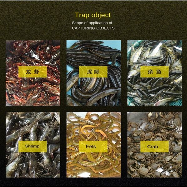 lobster eel river catch lobster special river shrimp shrimp eel cage bait fishcage bait, White
lobster eel river catch lobster special river shrimp shrimp eel cage bait fishcage bait, White