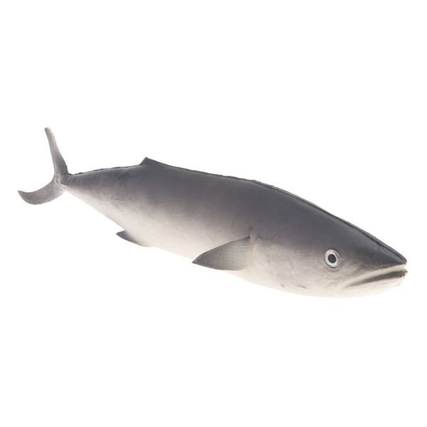 lifelike wate artificial saury fish model ornament for tank aquarium decor realistic kids educational toy
lifelike wate artificial saury fish model ornament for tank aquarium decor realistic kids educational toy