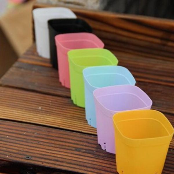 plastic flowerpot mini multicolour square succulents breed base special purpose basin the bottom is more breathable 1060pcs lin4641
plastic flowerpot mini multicolour square succulents breed base special purpose basin the bottom is more breathable 1060pcs lin4641