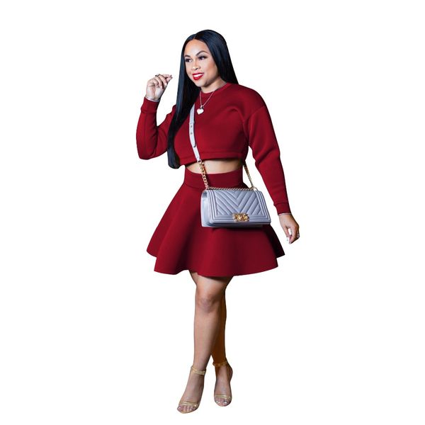 casual space wadding women set solid long sleeve o neck crop with a line mini skirt set women suit female slim two piece, Gray
casual space wadding women set solid long sleeve o neck crop with a line mini skirt set women suit female slim two piece, Gray