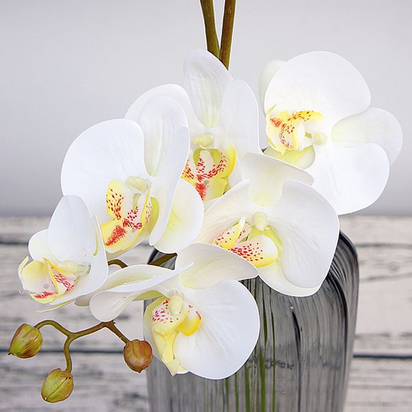 decorative flowers & wreaths 3d artificial butterfly orchid fake moth flor flower for home wedding diy decoration real touch decor flore
decorative flowers & wreaths 3d artificial butterfly orchid fake moth flor flower for home wedding diy decoration real touch decor flore