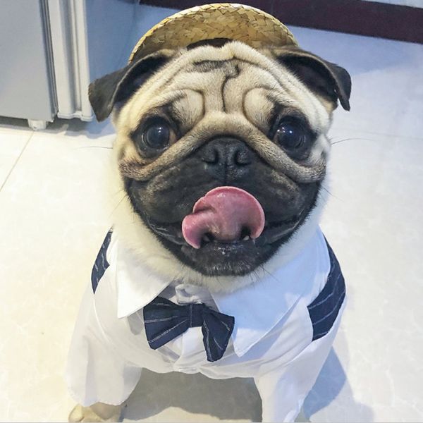dog wedding clothes dog suit tuxedo clothes for dogs costume bow tie pets clothing for small dogs cats pet supplies
dog wedding clothes dog suit tuxedo clothes for dogs costume bow tie pets clothing for small dogs cats pet supplies