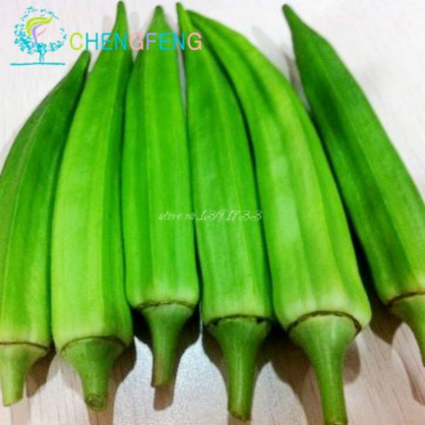 100pcs/bag rare okra plants red burgundy heirloom organic fruit vegetable plants plant for home garden diy plant semente
100pcs/bag rare okra plants red burgundy heirloom organic fruit vegetable plants plant for home garden diy plant semente