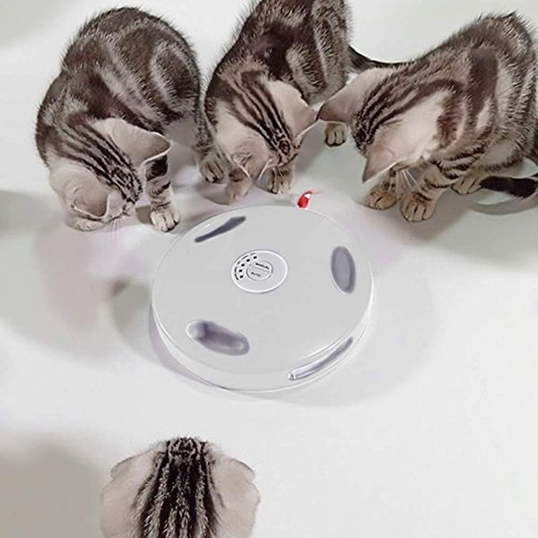 pet электрические игрушки интерактивные игрушки cat robotic play висячие скрынный движения мыши хвост supp
pet электрические игрушки интерактивные игрушки cat robotic play висячие скрынный движения мыши хвост supp
