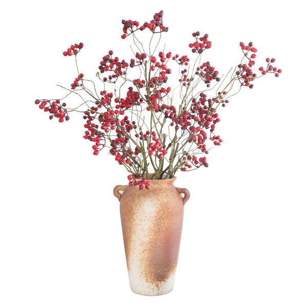 72cm blueberry artificial fruit diy cranberry foam branch berry wedding christmas party home decoration
72cm blueberry artificial fruit diy cranberry foam branch berry wedding christmas party home decoration