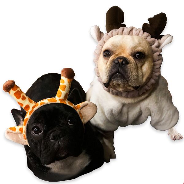 new style accessories hat creative cool funny dog law bucket headdress pet turning head band
new style accessories hat creative cool funny dog law bucket headdress pet turning head band