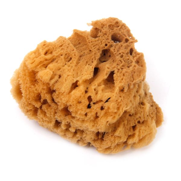 1pcs natural seaweed sponge art painting tools for wallpaper wall printing
1pcs natural seaweed sponge art painting tools for wallpaper wall printing