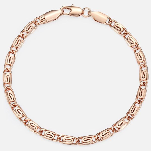 davieslee chain bracelet for women weaving bismark link mens womens bracelet chain 585 rose gold filled jewelry gift 5mm dgbm99, Black
davieslee chain bracelet for women weaving bismark link mens womens bracelet chain 585 rose gold filled jewelry gift 5mm dgbm99, Black
