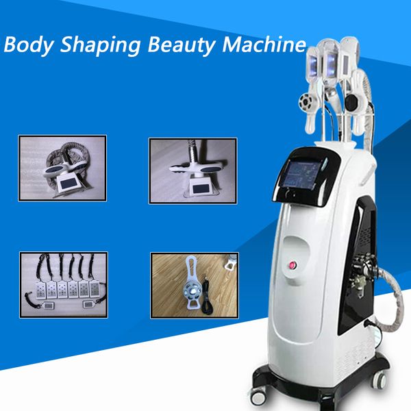 2019 fat e slimming machine cool sculpting cryo lipolysis machine 2 ing heads can work at the same time for beauty salon
2019 fat e slimming machine cool sculpting cryo lipolysis machine 2 ing heads can work at the same time for beauty salon