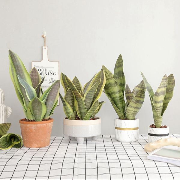 artificial succulent plant plastic tiger piran bonsai accessories fake sansevieria plants party home craft table decor
artificial succulent plant plastic tiger piran bonsai accessories fake sansevieria plants party home craft table decor