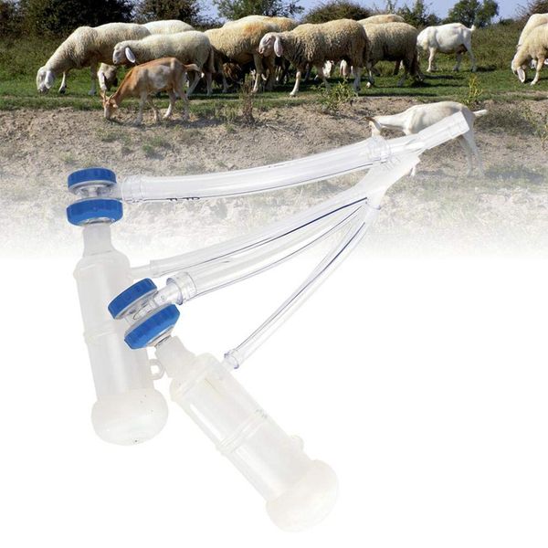 goat and sheep milking machine parts milking machine claw kit sheep farm sheep breasting milk accessories
goat and sheep milking machine parts milking machine claw kit sheep farm sheep breasting milk accessories