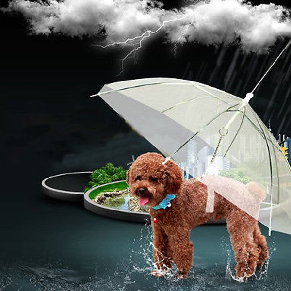 useful transparent pe pet umbrella small dog umbrella rain gear with dog leads keeps pet dry comfortable in rain snowing
useful transparent pe pet umbrella small dog umbrella rain gear with dog leads keeps pet dry comfortable in rain snowing
