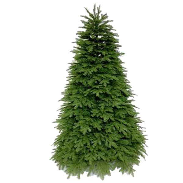 1.2m / 1.5m / 1.8m 2.1m 2.4m pe leaves christmas tree christmas home furnishings l decoration decoration products
1.2m / 1.5m / 1.8m 2.1m 2.4m pe leaves christmas tree christmas home furnishings l decoration decoration products