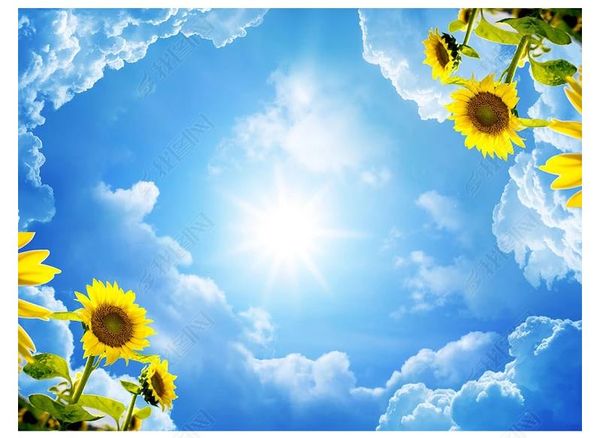 custom 3d p ceiling zenith interior decorative mural hd 3d dream sky sunflower mall l ceiling sky mural wallpaper for walls 3d
custom 3d p ceiling zenith interior decorative mural hd 3d dream sky sunflower mall l ceiling sky mural wallpaper for walls 3d