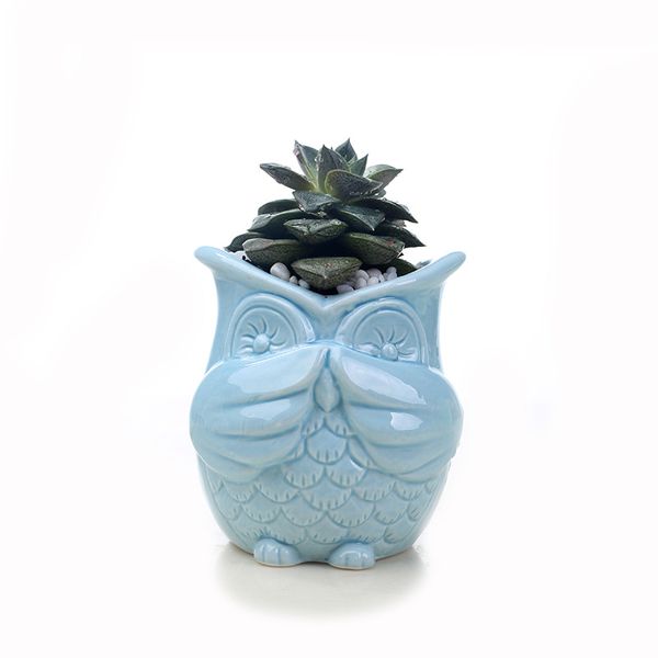 succulent pot small ceramic flower clay bonsai planters glazed cute owl animal shape bulk sale for garden
succulent pot small ceramic flower clay bonsai planters glazed cute owl animal shape bulk sale for garden