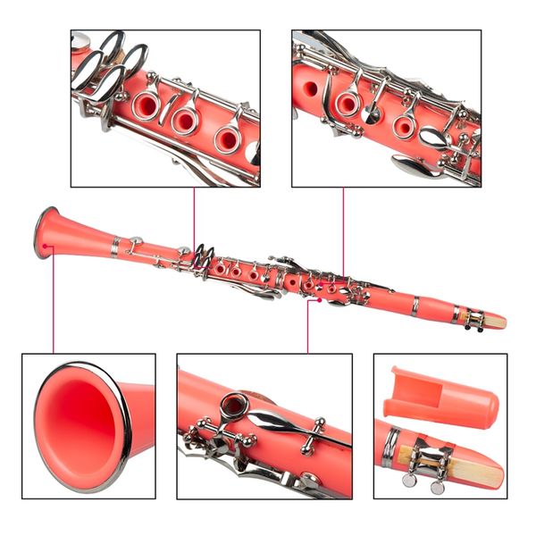 naomi abs b display clarinet with 2 barrel protector bracket pocketbook mouthpiece 10 reed and more
naomi abs b display clarinet with 2 barrel protector bracket pocketbook mouthpiece 10 reed and more