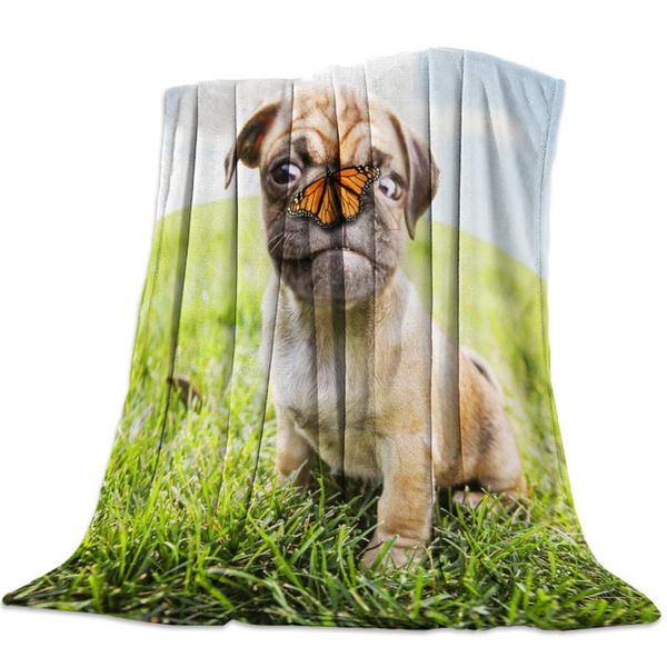 blanket puppy butterfly grass sky clouds animal lovely summer pet dog flannel blanket soft throw sofa bed travel blankets
blanket puppy butterfly grass sky clouds animal lovely summer pet dog flannel blanket soft throw sofa bed travel blankets