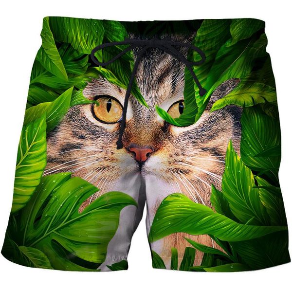 новая мода 3d cat печатные пляжные шорты мужской дизайн животных настольные шорты мужчины лето серфинг homme drop ship, White;black
новая мода 3d cat печатные пляжные шорты мужской дизайн животных настольные шорты мужчины лето серфинг homme drop ship, White;black