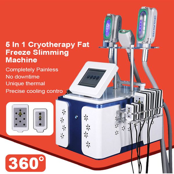 2020 уход за кожей 3 cryo ручки loss для похудения вес cryolipolysis машины 360 ° замораживание кавитация рф вакуумная кожи lift жира замора
2020 уход за кожей 3 cryo ручки loss для похудения вес cryolipolysis машины 360 ° замораживание кавитация рф вакуумная кожи lift жира замора