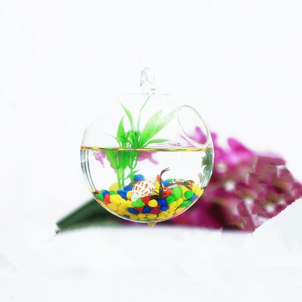 diameter=12cm 4pcs/pack hanging glass ball aquarium small open home decoration glass terrarium vase
diameter=12cm 4pcs/pack hanging glass ball aquarium small open home decoration glass terrarium vase
