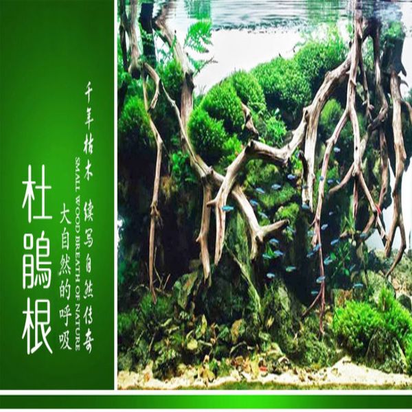 natural tree trunk driftwood aquarium fish tank ornament reptile cylinder making roots plant wood decoration (ramdon shape
natural tree trunk driftwood aquarium fish tank ornament reptile cylinder making roots plant wood decoration (ramdon shape
