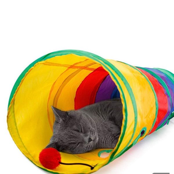 cat tunnel pet tube collapsible play toy indoor outdoor kitty puppy toys for puzzle exercising hiding training and running with dog training
cat tunnel pet tube collapsible play toy indoor outdoor kitty puppy toys for puzzle exercising hiding training and running with dog training